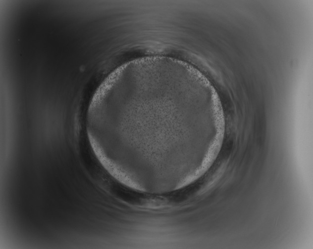X0000087580215200705181207