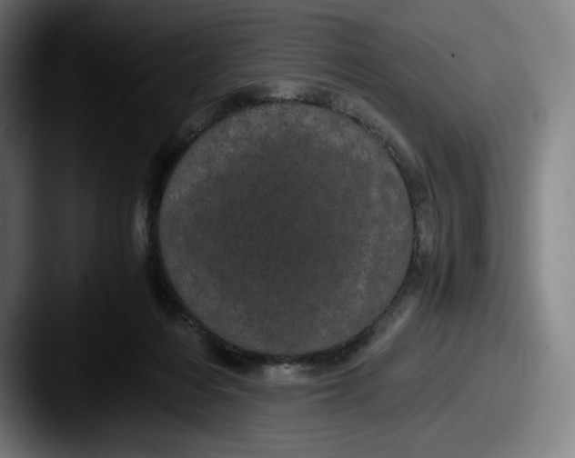 X0000087580216200705181207