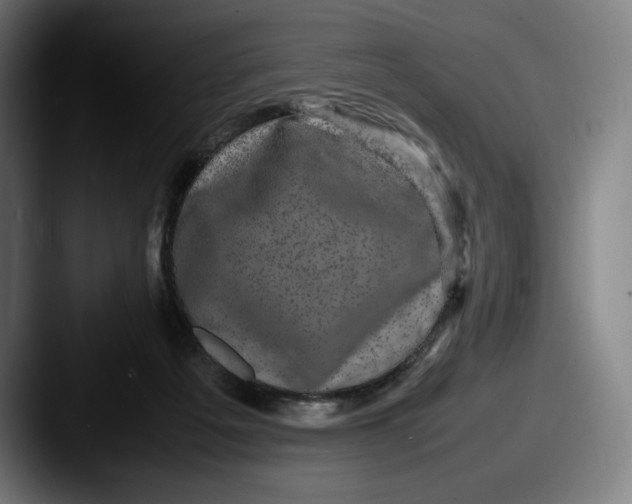 X0000087580217200705181207