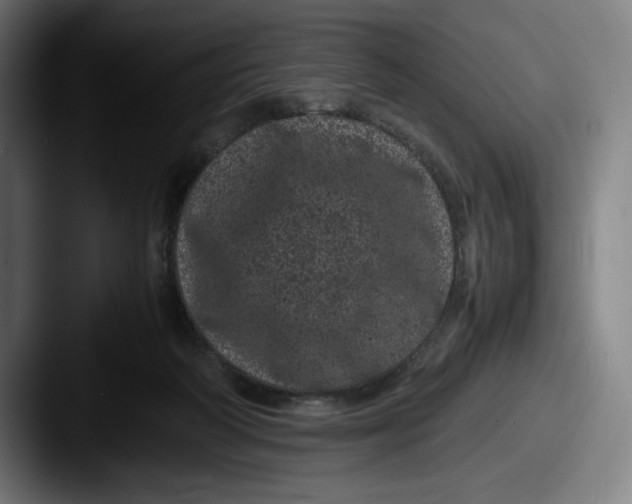 X0000087580218200705181207