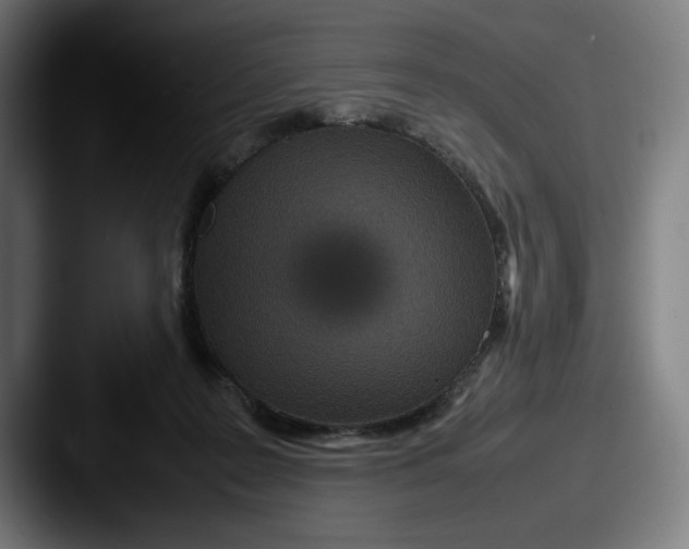 X0000087580219200705181207