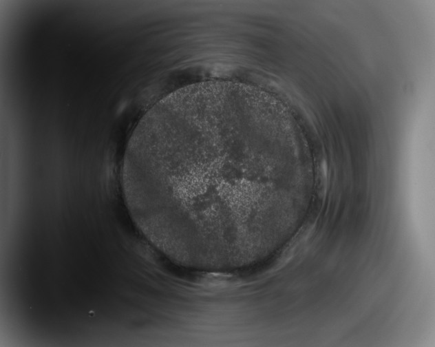 X0000087580222200705181207