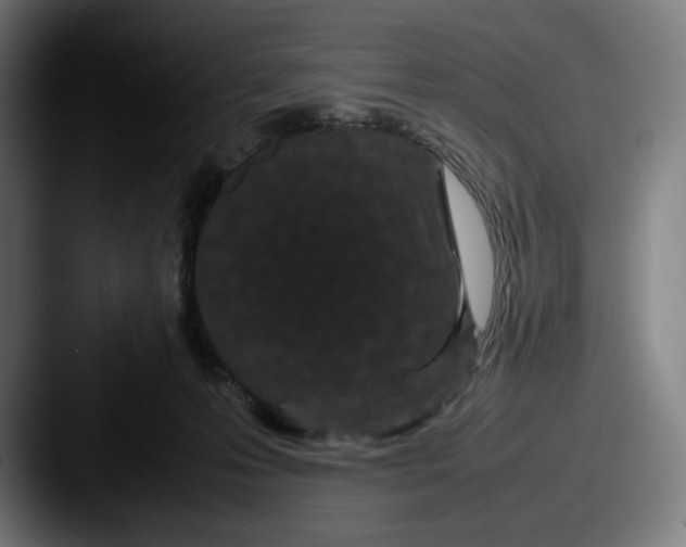 X0000087580223200705181207