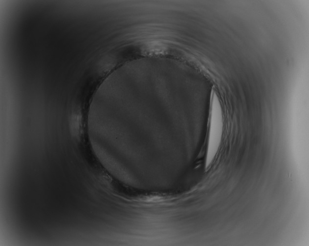 X0000087580224200705181207