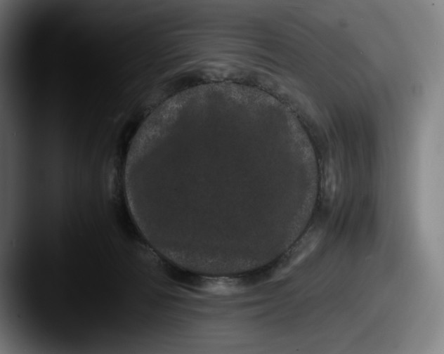 X0000087580226200705181207