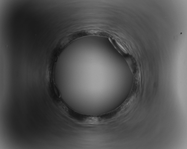 X0000087580227200705181207