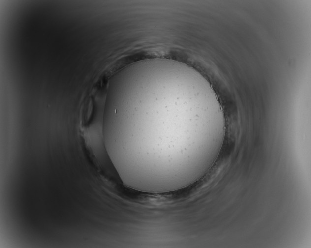 X0000087580229200705181207