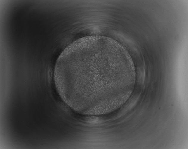 X0000087580230200705181207