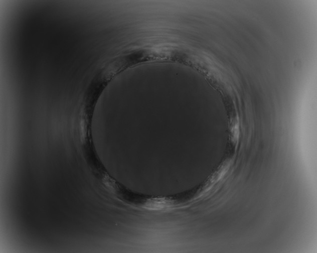 X0000087580231200705181207