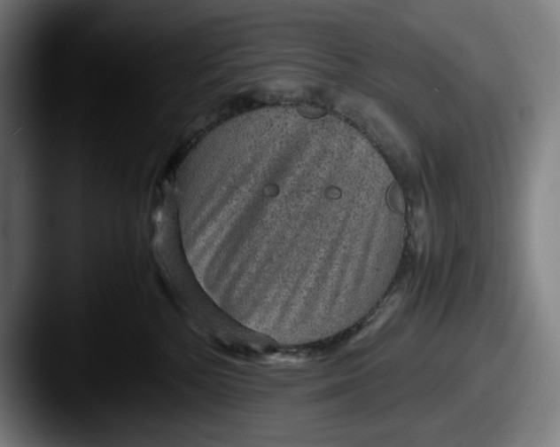 X0000087580232200705181206