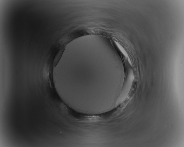 X0000087580233200705181206