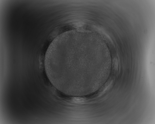 X0000087580234200705181206
