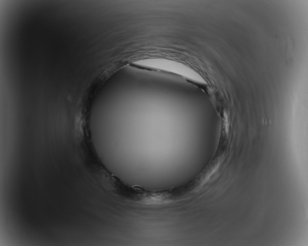 X0000087580235200705181206
