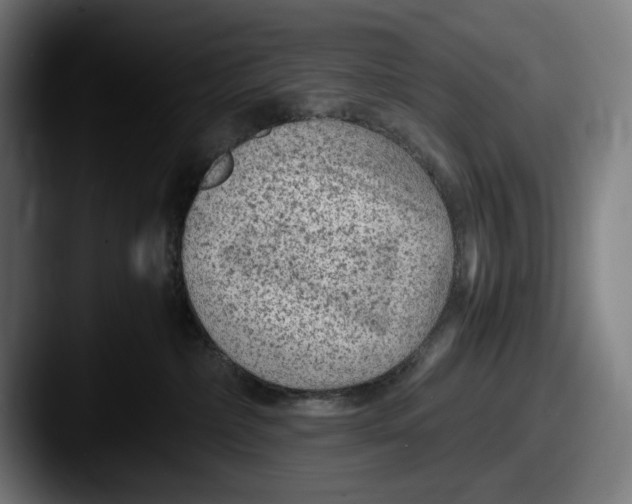 X0000087580236200705181206