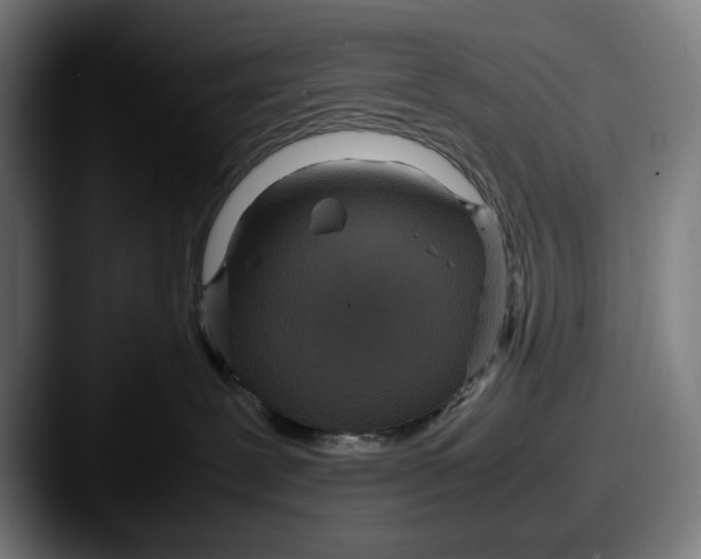 X0000087580239200705181206