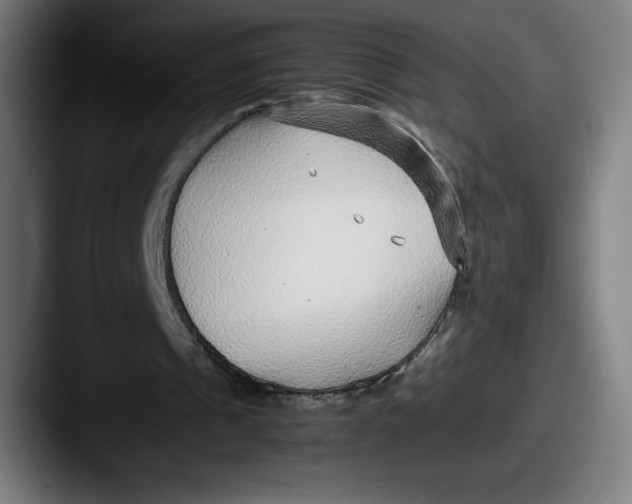 X0000087580241200705181206