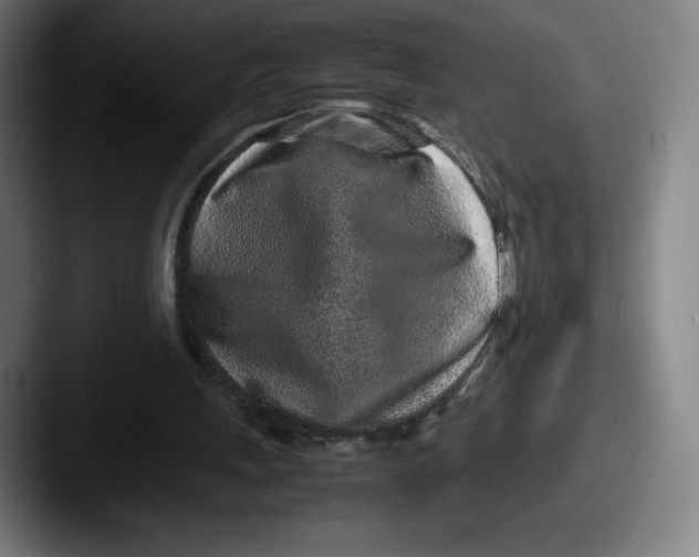 X0000087580243200705181206