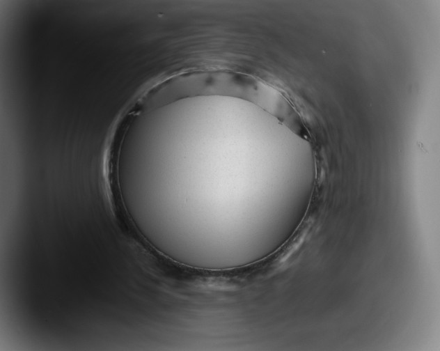 X0000087580244200705181206