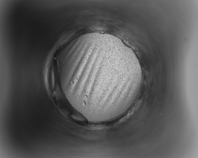 X0000087580245200705181206