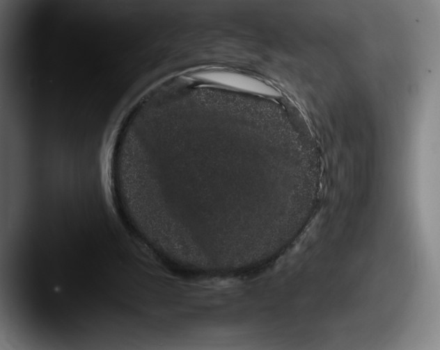 X0000087580247200705181206