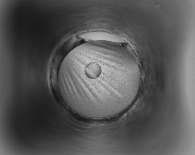 X0000087580248200705181206