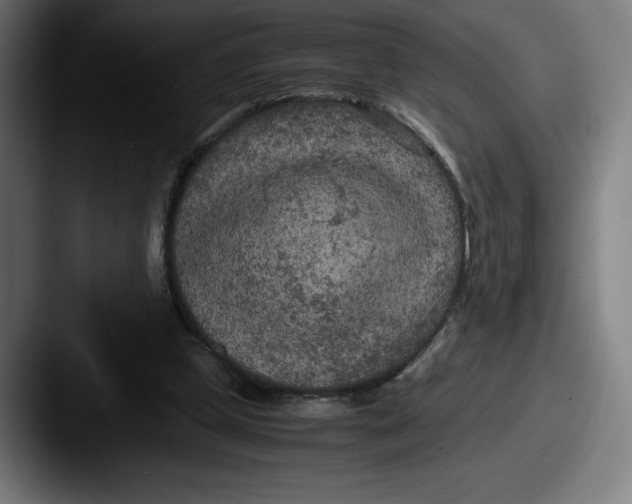 X0000087580249200705181206