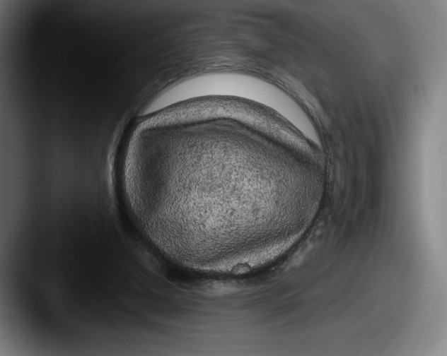 X0000087580250200705181206