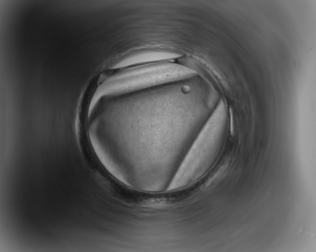 X0000087580252200705181206
