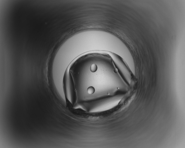 X0000087580256200705181206
