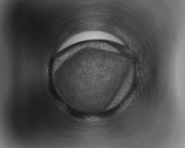X0000087580258200705181206