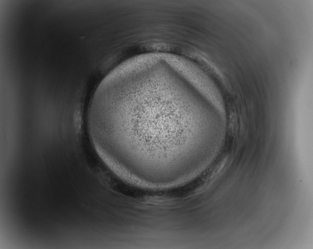 X0000087580259200705181206