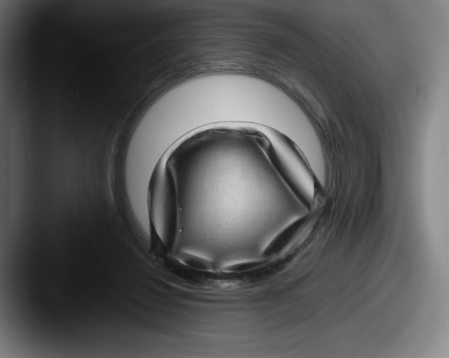 X0000087580260200705181206