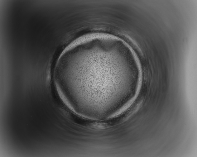 X0000087580261200705181206