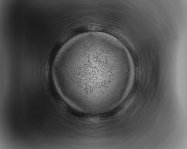 X0000087580263200705181206