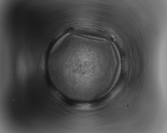 X0000087580266200705181206
