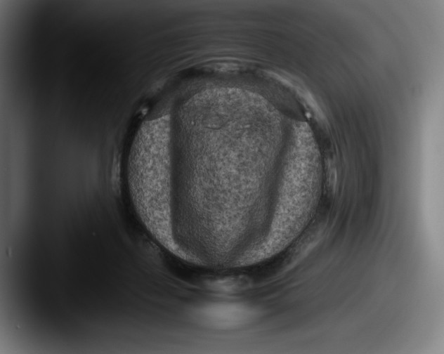 X0000087580267200705181206