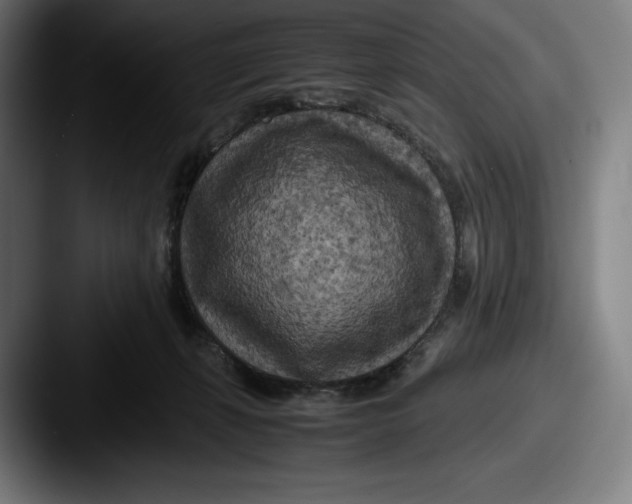 X0000087580271200705181206