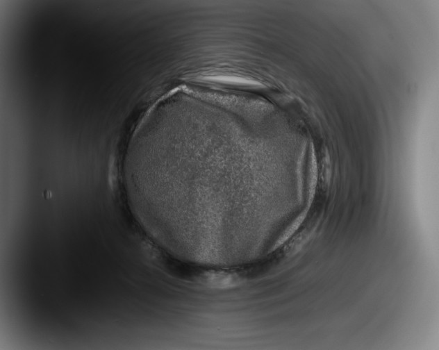 X0000087580272200705181206