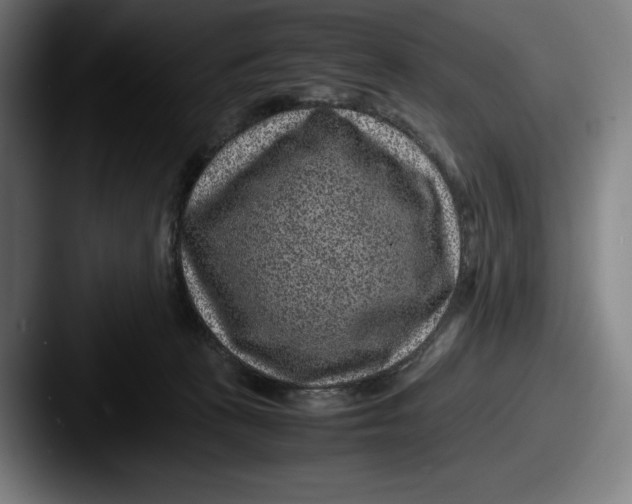 X0000087580273200705181206