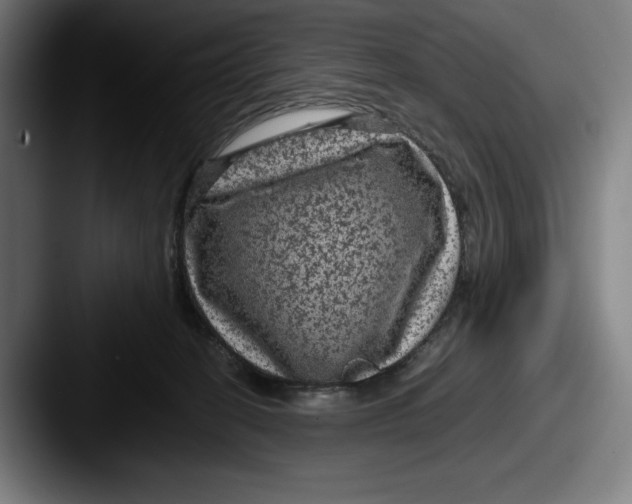 X0000087580274200705181206