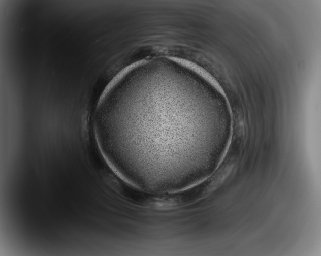 X0000087580275200705181206