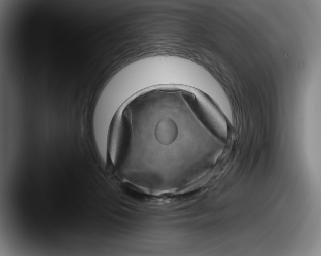 X0000087580276200705181206