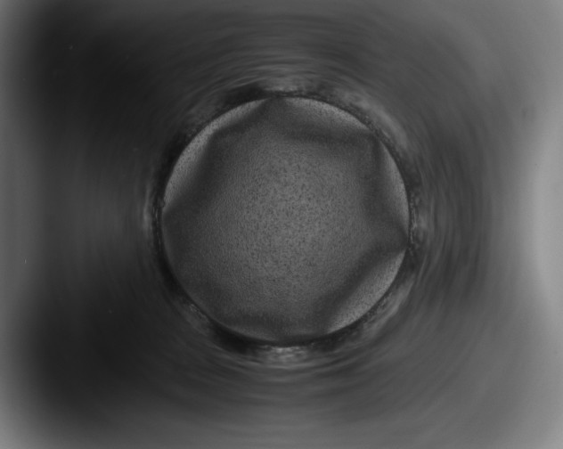 X0000087580277200705181206