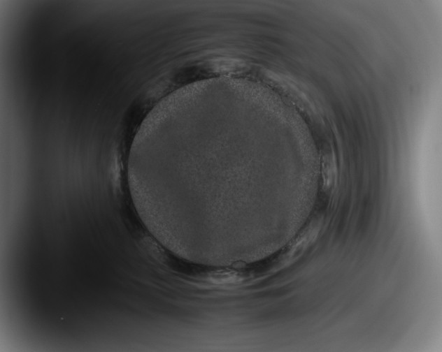 X0000087580279200705181206