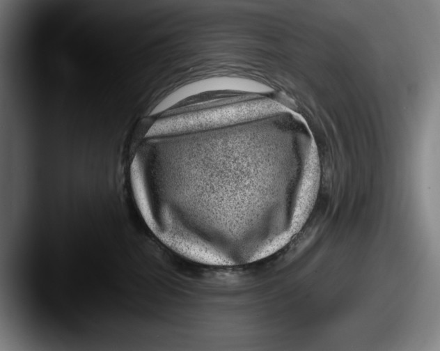 X0000087580282200705181206