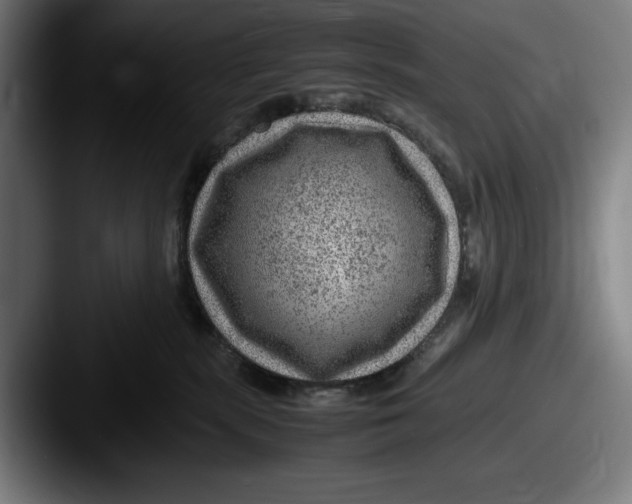 X0000087580283200705181206