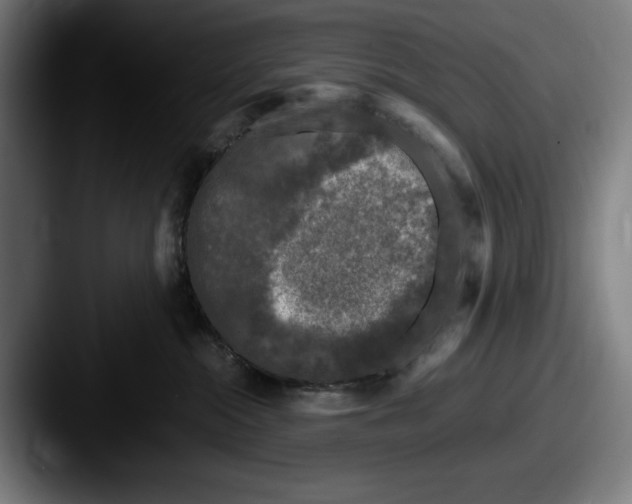 X0000087580284200705181206