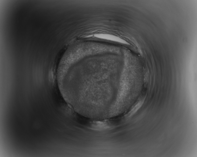 X0000087580285200705181206