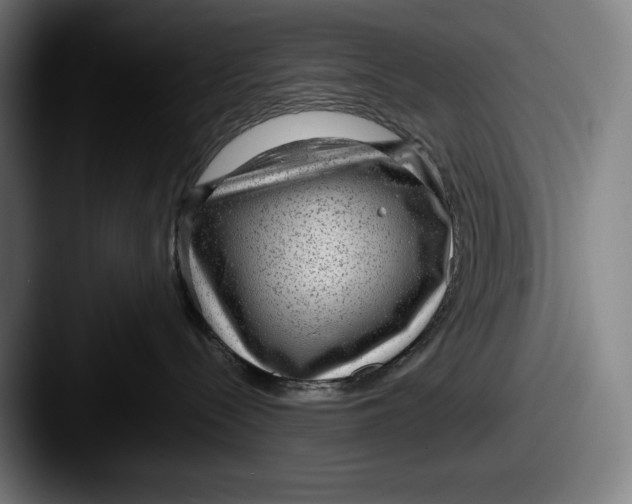 X0000087580288200705181206