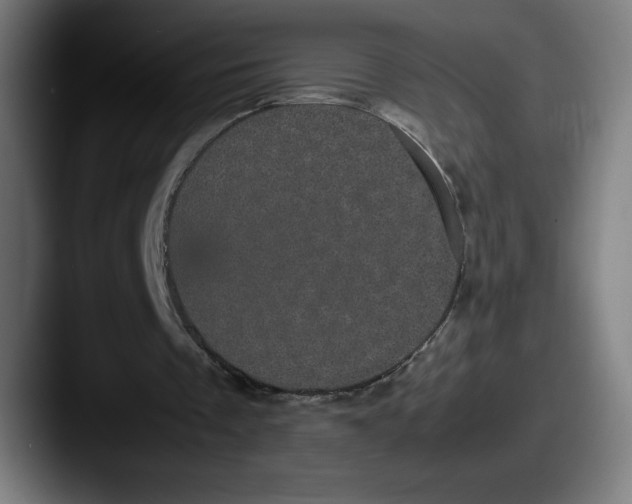 X0000087580289200705181206